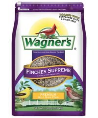 Wagner's new