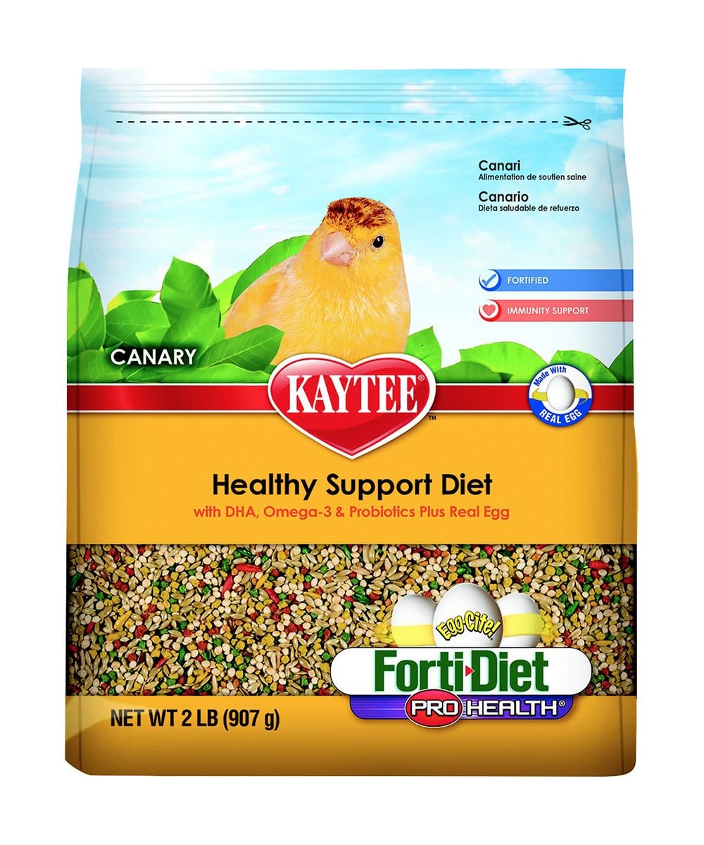 Bird Food 1