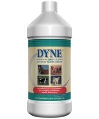 Dyne
