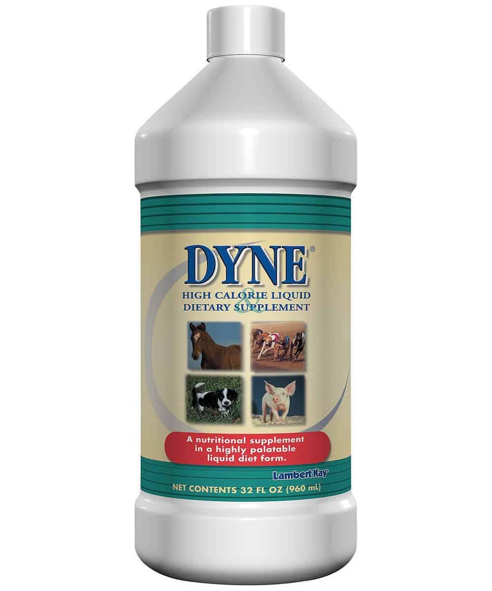 Dyne 1byaldino articoli per allevatori Dyne