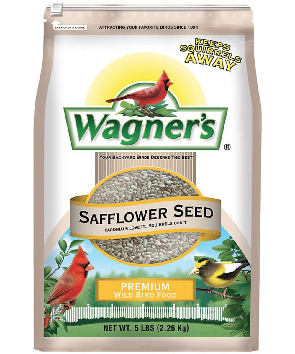 Nyjer Seed 1byaldino articoli per allevatori Nyjer Seed