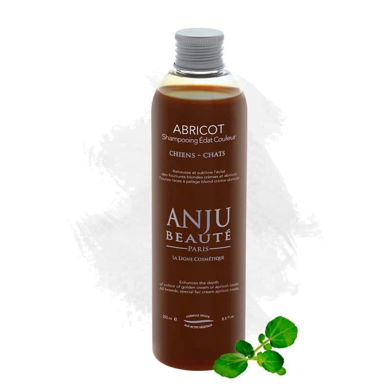 ANJU BEAUTÉ ABRICOT