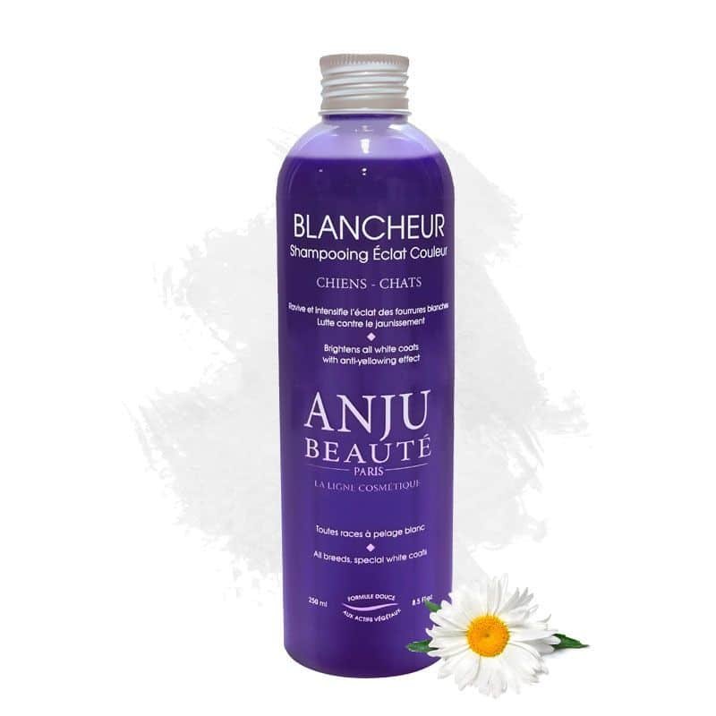 ANJU BEAUTÉ BLANCHEUR