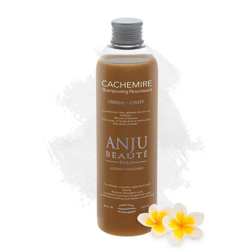ANJU BEAUTÉ CACHEMIRE