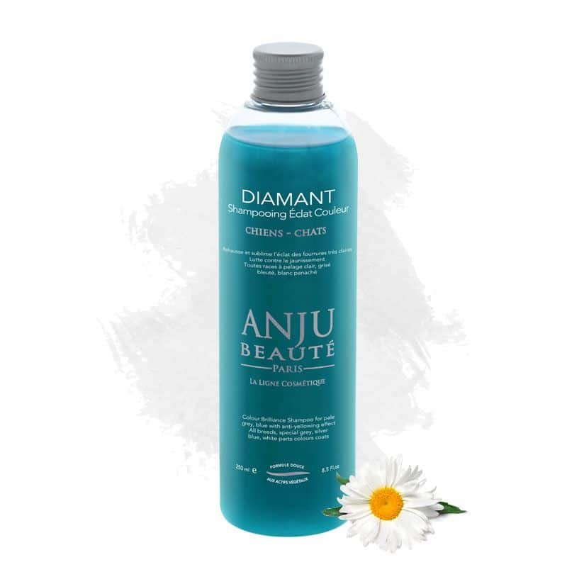 ANJU BEAUTÉ DIAMANT