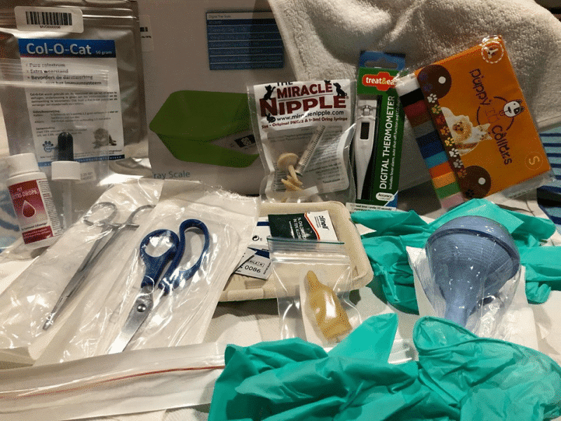 allevatori 1byaldino articoli per allevatori kit cuccioli