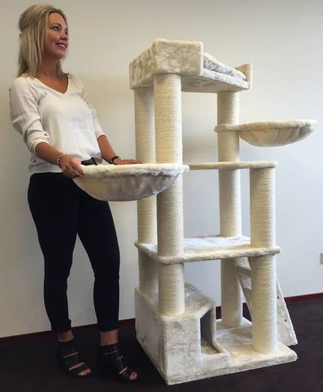 rhrquality-cat-tree-corner-coon-cream