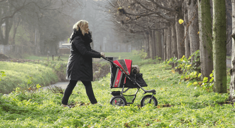 Passeggini Innopet per gatti e cani 1byaldino articoli per allevatori Passeggini Innopet per gatti e cani 1