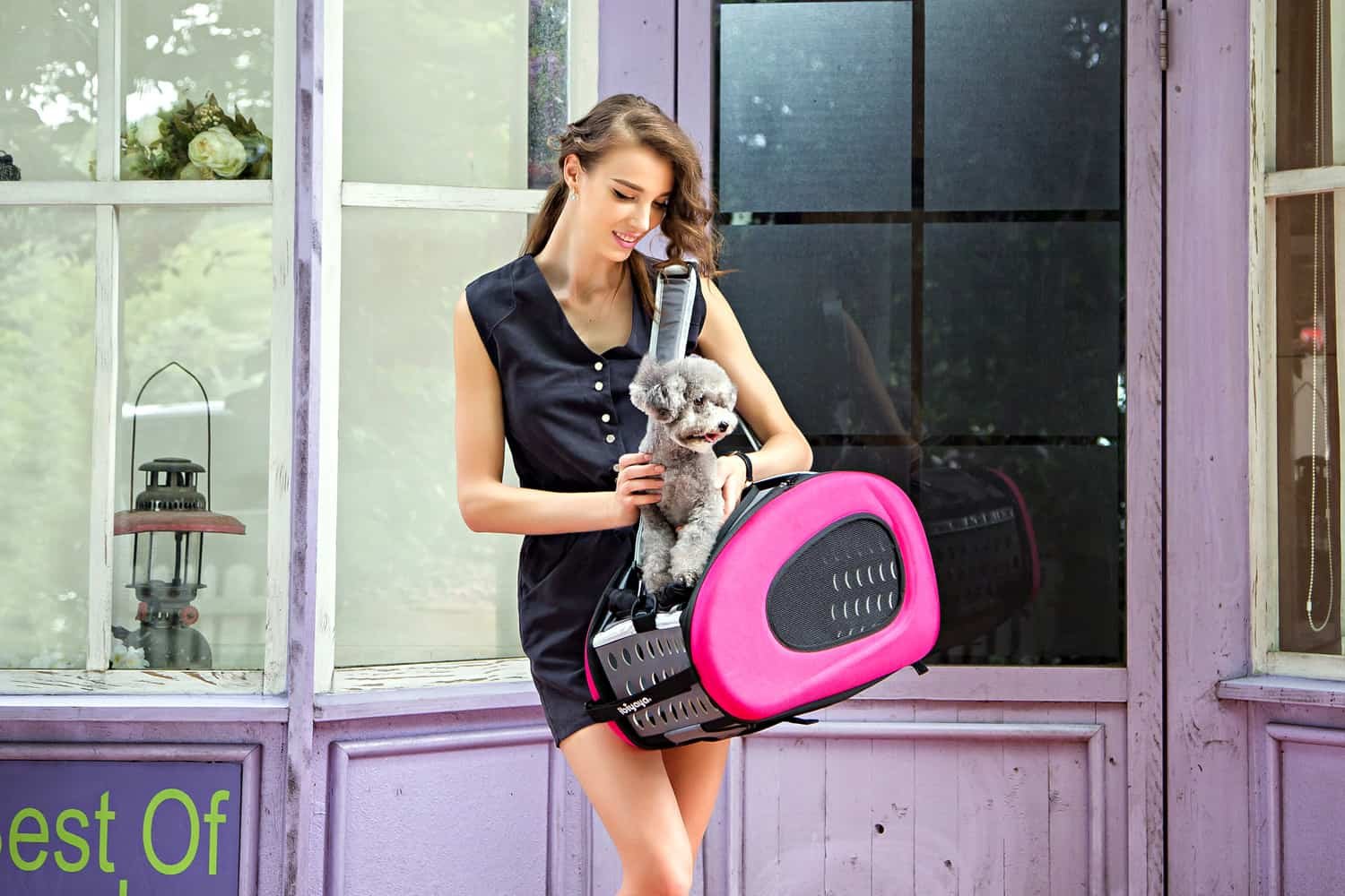 Passeggino Innopet IPS-020 | 5 in 1 per gatti e cani 2byaldino articoli per allevatori passeggino ibiyaya