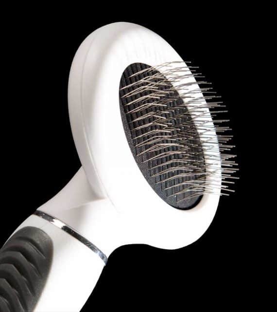 Kit per toelettatura a pelo lungo 5byaldino articoli per allevatori Kit per toelettatura a pelo lungo 3