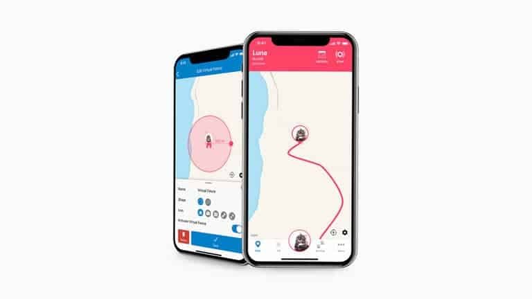 Smartphone view of LIVE Tracking and Virtual Fence features