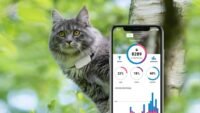 Collare GPS per gatti | Tractive GPS Cat Tracker