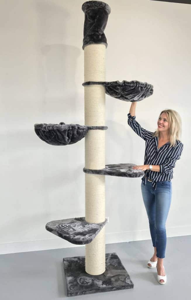 RHRQuality Cat Tree Maine Coon Tower Crown 8byaldino articoli per allevatori RHRQuality Cat Tree Maine Coon Tower Crown - immagine 8