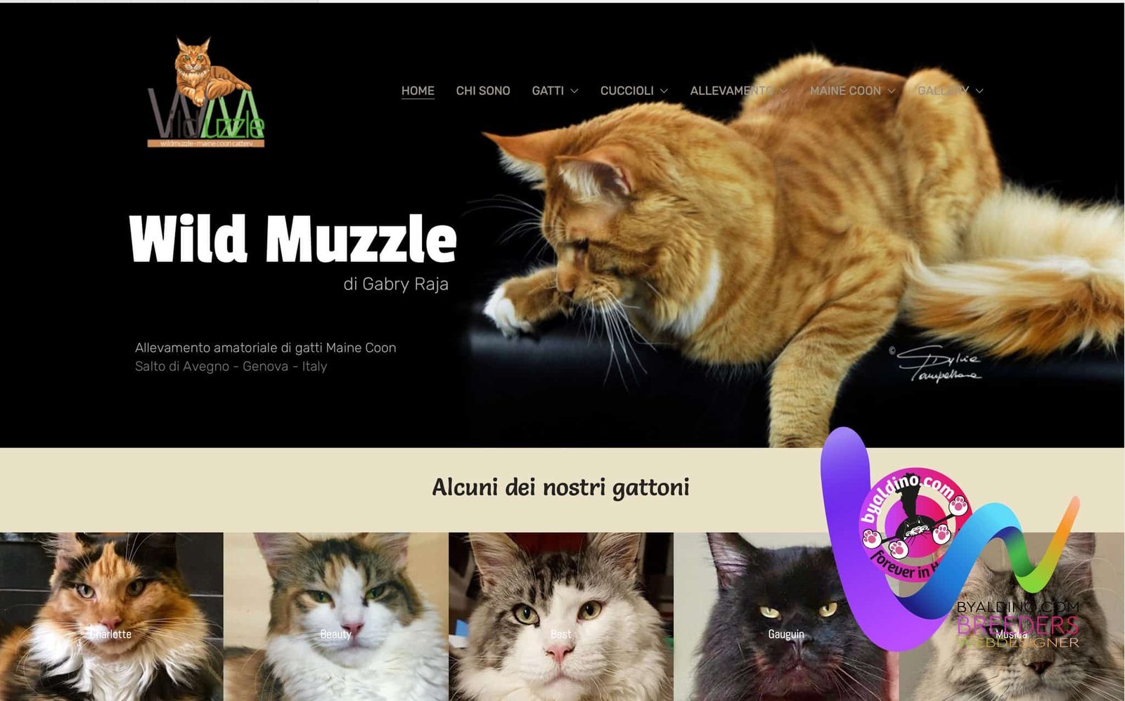 siti web per allevatori 3byaldino articoli per allevatori siti web per allevatori - immagine 3
