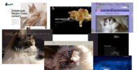siti web per allevatori