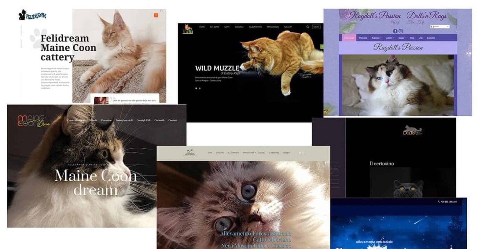 siti web per allevatori 1byaldino articoli per allevatori siti web per allevatori