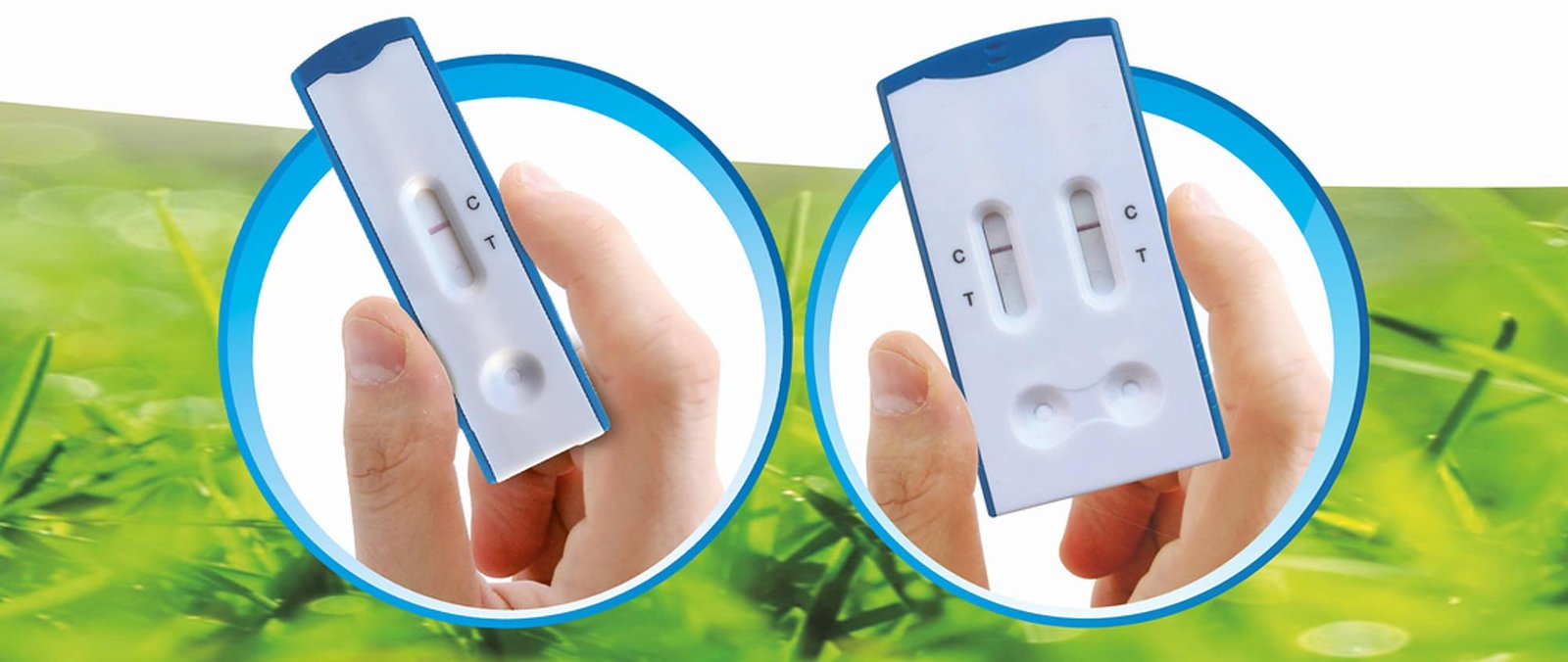 Snap test - Test rapidi immunocromatografici 2byaldino articoli per allevatori 9d902b 911c57616ef74da092895366de0e992d~mv2