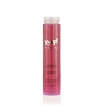 YUUP SHAMPOO VOLUMIZZANTE 250ML