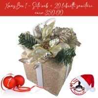 xmas box 1