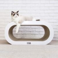 BENCH tiragraffi in cartone house of cats