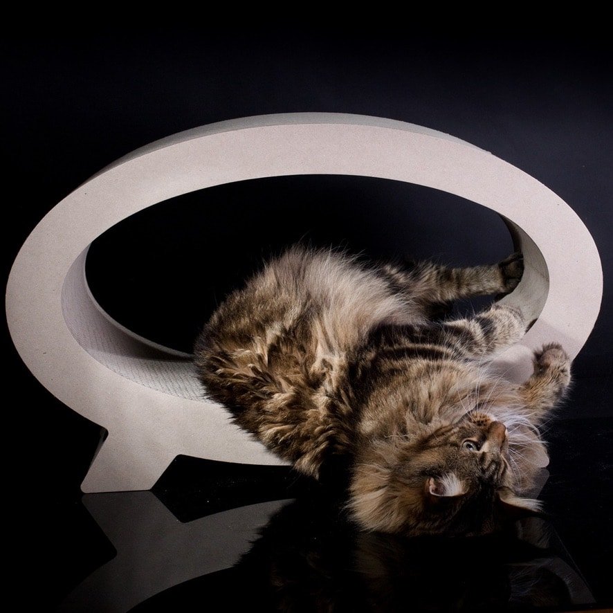 ELIPSO tiragraffi in cartone house of cats 5byaldino articoli per allevatori C87173ED 836E 4693 85A3 003147D1A8F4 1 105 C