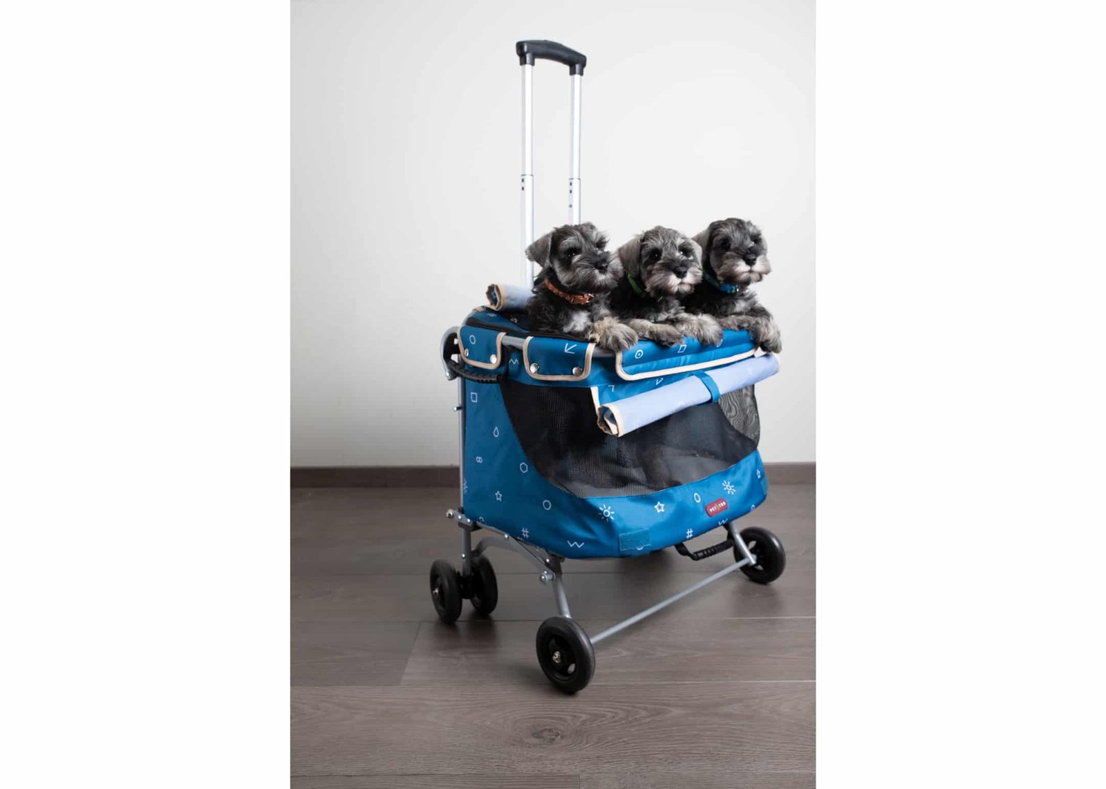 Petstro Mini Buggy Blue 5byaldino articoli per allevatori Php5l72qd