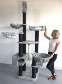 RHRQuality Cat Tree Catdream de luxe