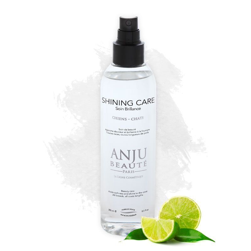 ANJU BEAUTÉ SHINING LOTION SPRAY