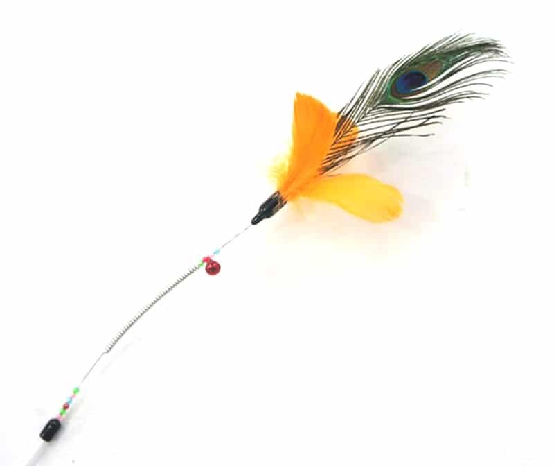Katzenspielstab Spiralfeder Orange Pfau