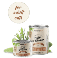 CHICOPEE CAT FOOD ADULT  DUCK & CHICKEN  CON CAROTE FINI 195gr | 6 lattine