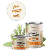 CHICOPEE CAT FOOD ADULT SALMONE E POLLAME ADULTI  CON CAROTE FINI 195gr | 6 lattine