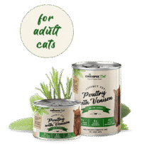 CHICOPEE CAT FOOD ADULT  POLLAME ADULTO CON CERVO  E CAROTE FINI 195gr | 6 lattine