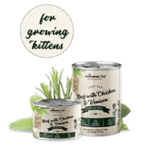 CHICOPEE CAT FOOD KITTEN 195gr | 6 lattine