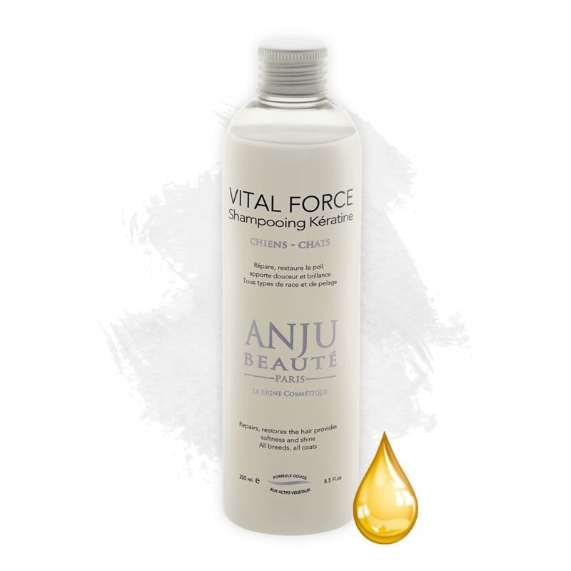 ANJU BEAUTÉ shampoo VITAL FORCE