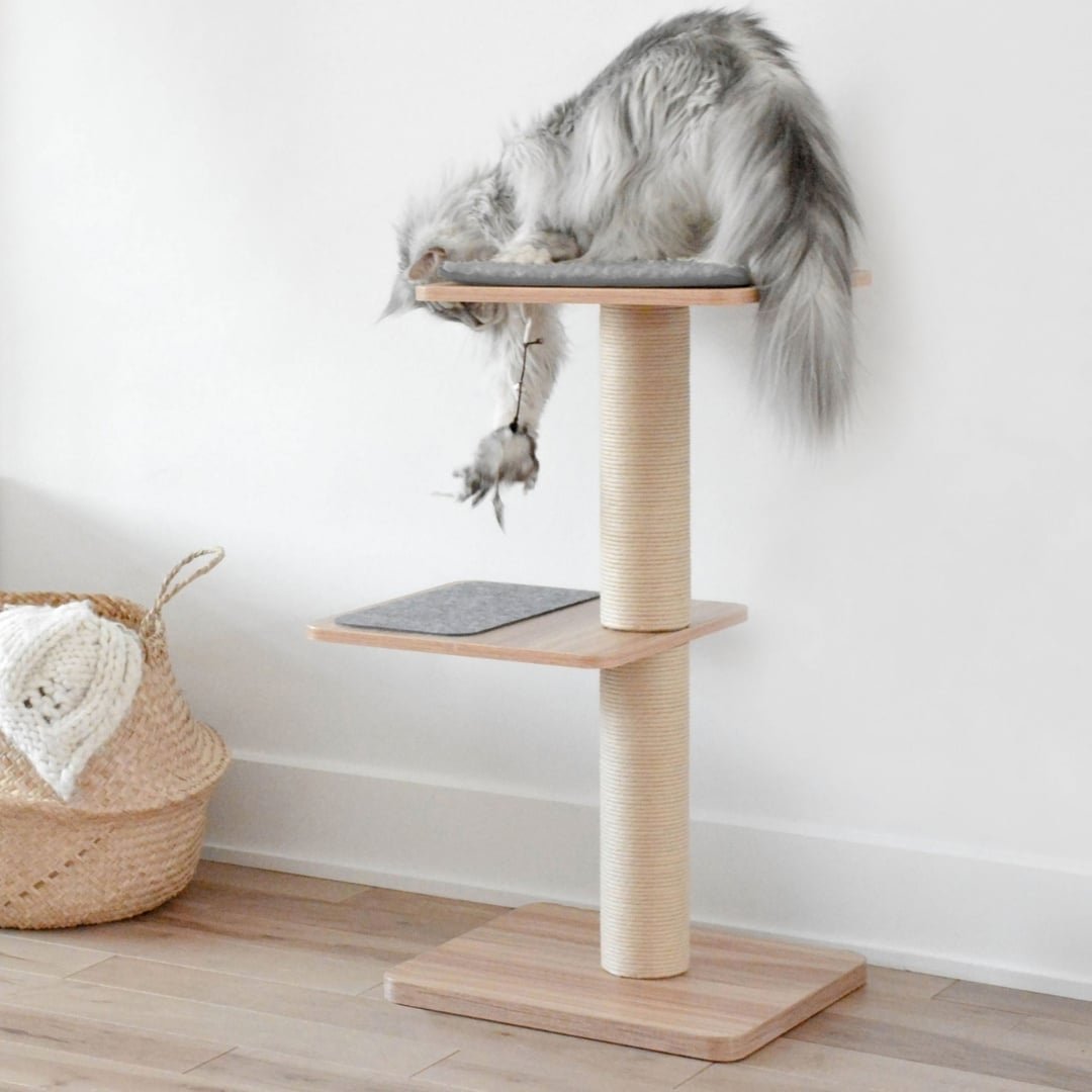 BeOneBreed Katt3EVO Classic 8byaldino articoli per allevatori BeOneBreed Katt3EVO Classic - immagine 8