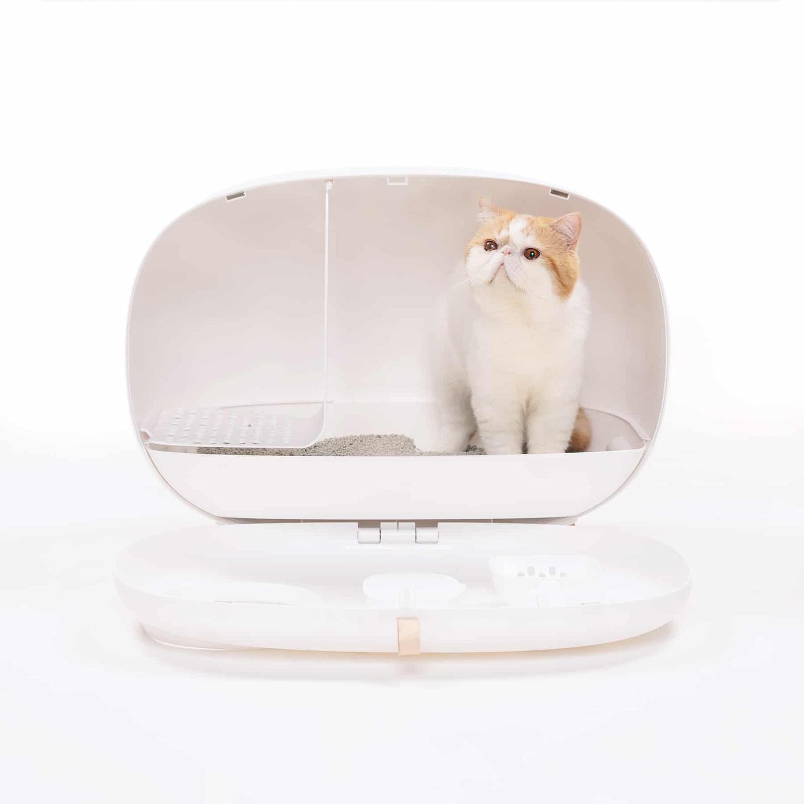 MS! Design Kattenbak 3byaldino articoli per allevatori MS! Design Kattenbak - immagine 3