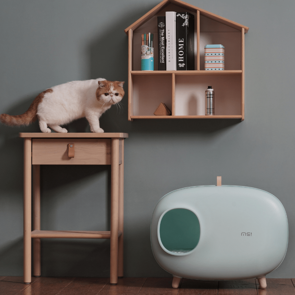 MS! Design Kattenbak 8byaldino articoli per allevatori MS! Design Kattenbak - immagine 8