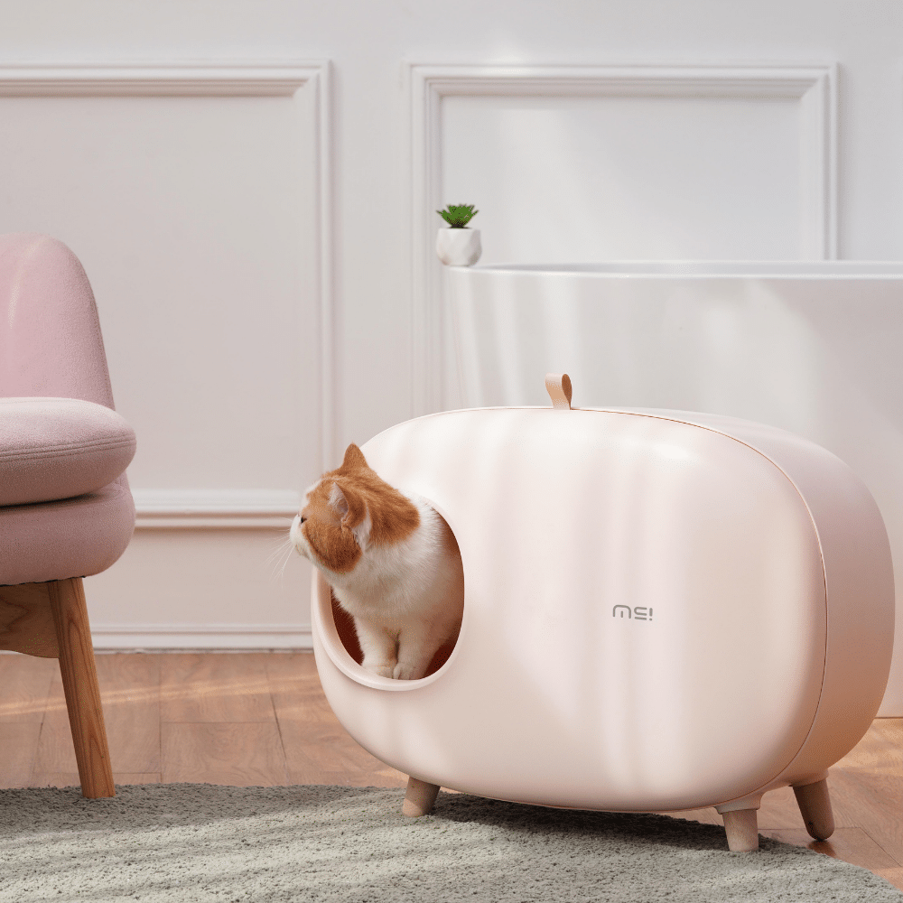 MS! Design Kattenbak 5byaldino articoli per allevatori MS! Design Kattenbak - immagine 5