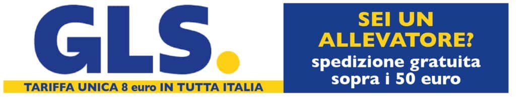articoli per gatti, sito per allevatori - onlus e toelettature 4