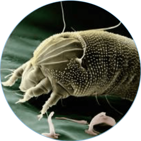 depuratore-sanificatore-aria-hurricane-efficacia