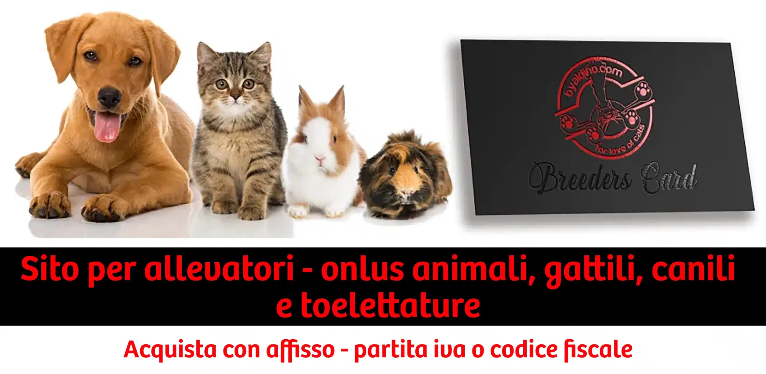 articoli per gatti, sito per allevatori - onlus e toelettature 1