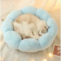 Cucce fluffy flower azzurro