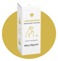 Bianco-line Pet Ribes nigrum