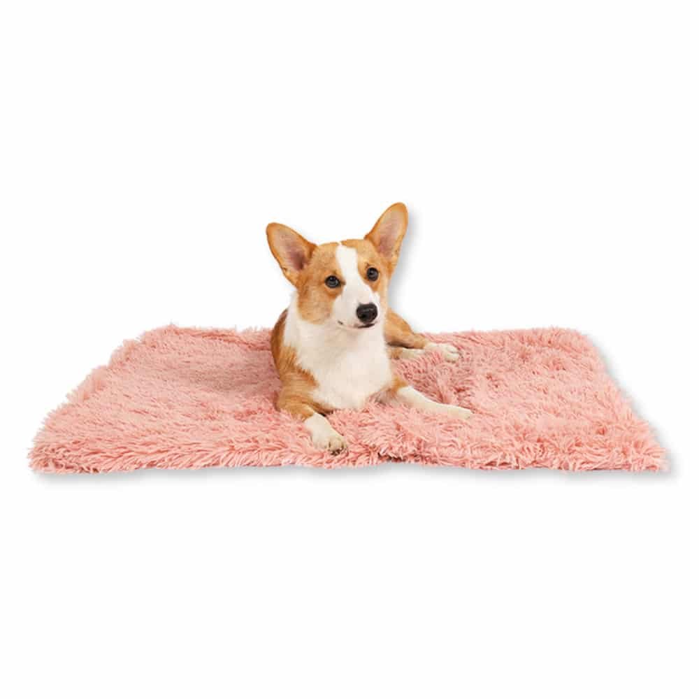 Copertina fluffy - morbidissima - 120x100 5byaldino articoli per allevatori Copertina fluffy - morbidissima - 120x100 - immagine 5