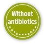 Without antibiotics ABELIA® GlycoZoo 118 ml - con Applicatore 2