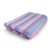 VetBed rainbow