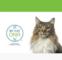 My cat DNA§°°°°°°°YUn