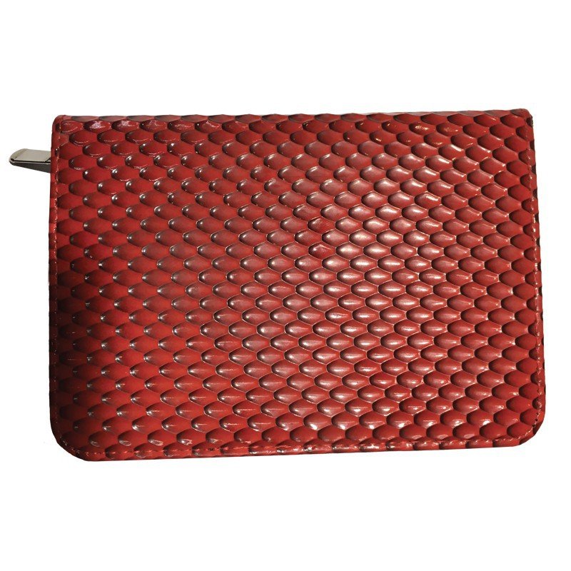 AGC 5 scissors pouch kit 8byaldino articoli per allevatori AGC 5 scissors pouch kit - immagine 8