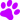 zampina